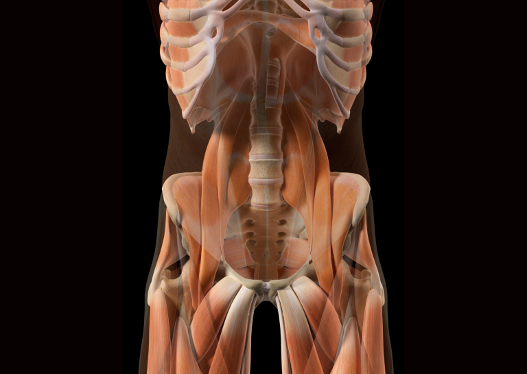 Your Hips and Low Back are Aching Because…